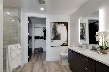 Oversized walk-in closets